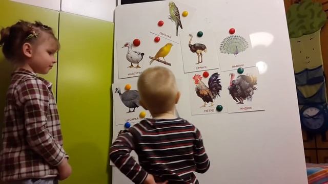 Тося и Савва, тема "Домашние и декоративные птицы" смотреть онлайн