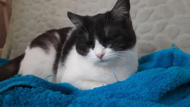 Не вздумайте брать это в руки может случиться беда. 9 января Степанов день. Народный праздник