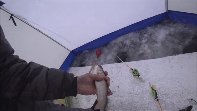 Рыбалка на Енисее зимой смотреть онлайн