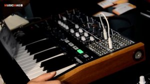 Arturia MiniBrute 2 и DrumBrute Impact  - презентация (NAMM Musikmesse Russia 2018)