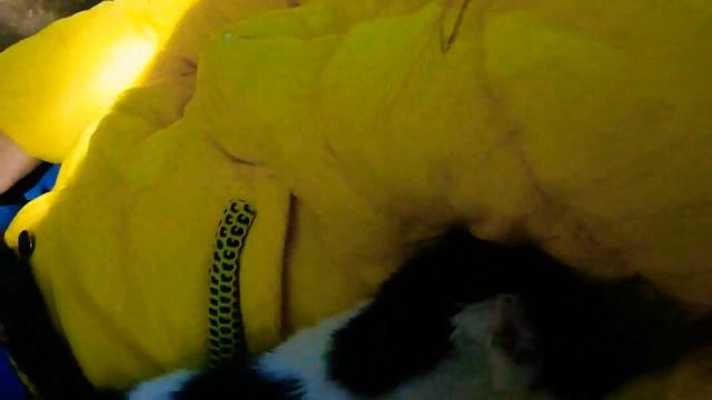 ВДЦ,, ОРЛЕНОК "// НИДЕЛЯ ВЛОГОВ // 1 ДЕНЬ смотреть онлайн