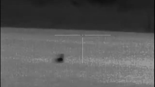 ОТСТРЕЛ ШАКАЛОВ смотреть онлайн