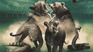 4 Гладиаторы   Дикое побережье / Wild Coast