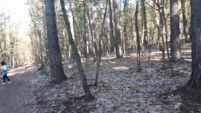 #гайморит.#диагностика.#боль.#чистотел. смотреть онлайн