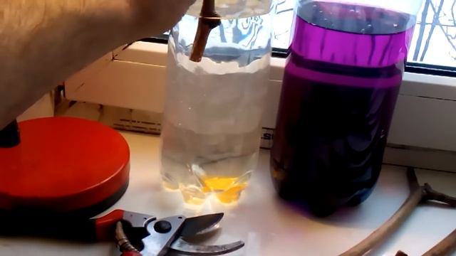 как размножать виноград черенками