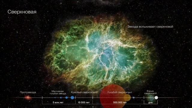 Рзаева Эвелина. Проектирование и разработкамоушен контента Планетария №1