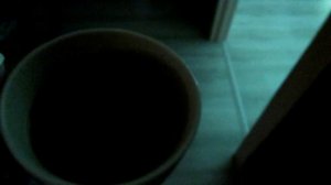 ШОПИНГ, ЗАНЯТИЯ У ДЕВОЧЕК, ДЕТОКС