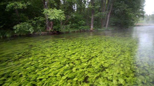 Река Великая смотреть онлайн
