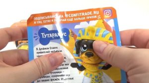 ПУШИСТИКИ ЩЕНЯТА 5. Щенки в коробочках - сюрпризах SweetBox. Пушистики "История".