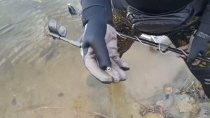 Пляжный коп XP Deus  HF 24x13 деус 5.21 лайт