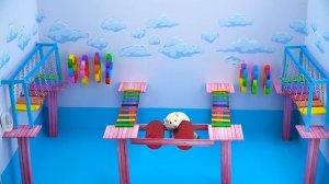 Hamster Escaped From The Spiderweb Maze | Color Obstacle Challenge | Hamster Life