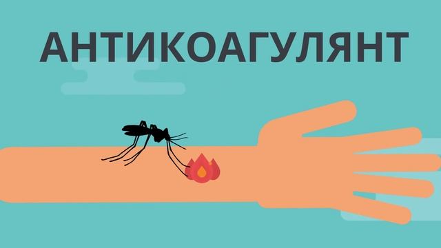 ЗАЧЕМ КОМАРАМ НАША КРОВЬ? смотреть онлайн