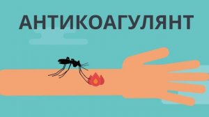 ЗАЧЕМ КОМАРАМ НАША КРОВЬ?