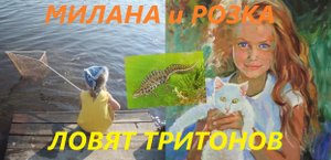 "МИЛАНА и РОЗКА ЛОВЯТ ТРИТОНОВ". Детский познавательный рассказ