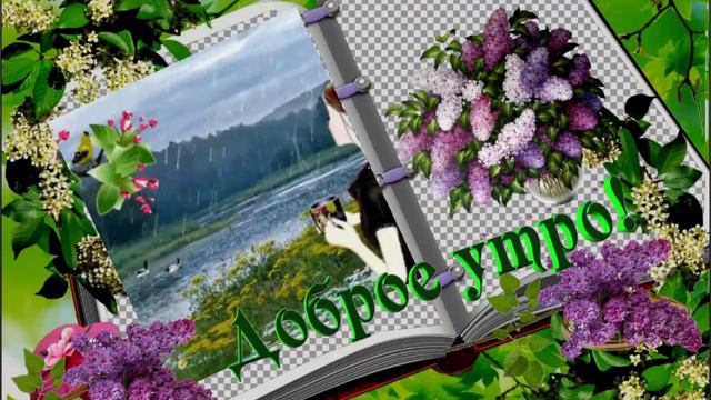 Доброе утречко!  Видеопожелание  с добрым утром и  хорошим  днем.