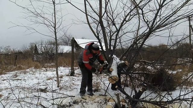 Расчистка участка от деревьев, пока закрыт строительный сезон смотреть онлайн