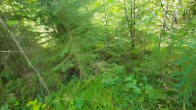 Гуляю по залётным местам смотреть онлайн