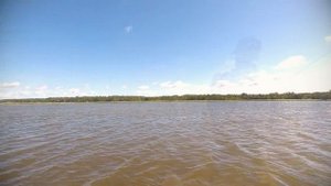 Что ты творишь? Ловля щуки. Рыбалка в Эстонии