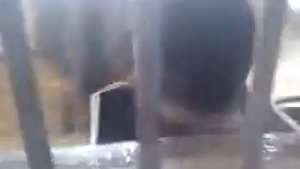 RuSSIR 2010. Воронеж. Хреновое