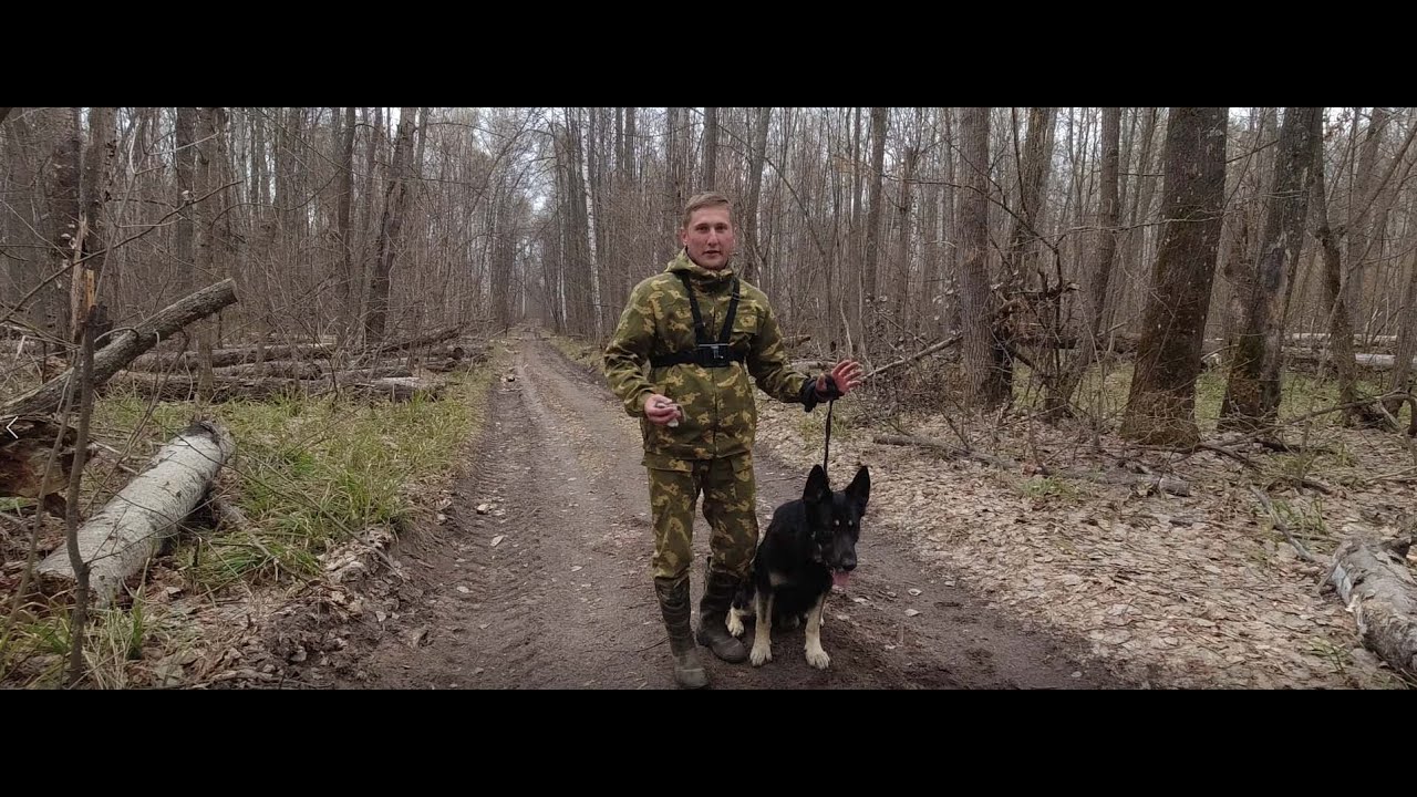 Берем след!. смотреть онлайн