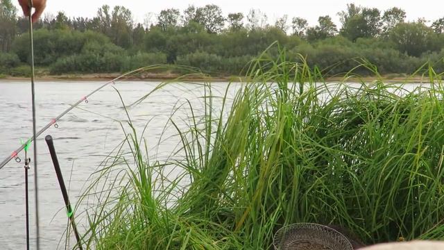 Ветлуга смотреть онлайн