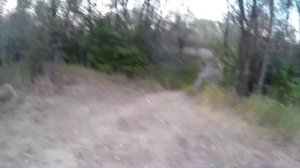 Рыбалка на фидер и отдых на реке Дон в Волгоградской области, август 2017 год. Супер клёв