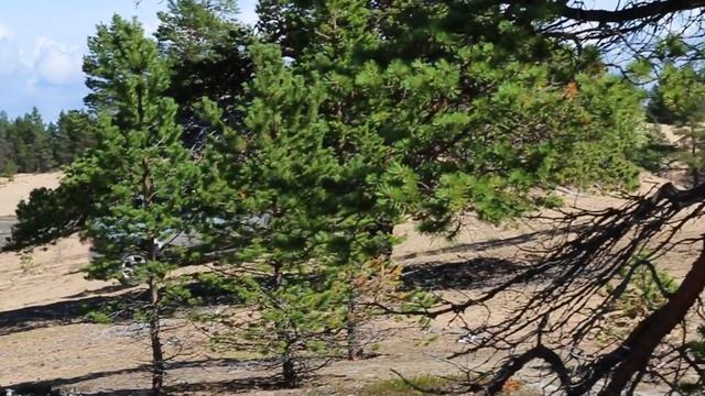 MVI 3810 смотреть онлайн