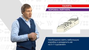 ПАМЯТЬ. Коробка Лейтнера || ЗНАНИЯ.live
