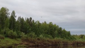 РЫБАЛКА и ОХОТА на реке БАИХА! Дикие места в Туруханском районе Красноярского края!