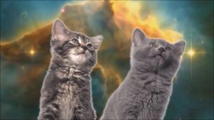 Rave Cats Defining ReMix
