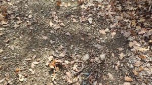 Абрау-Дюрсо . Прогулка вокруг оз. Абрау с заходом в поселок Дюрсо !