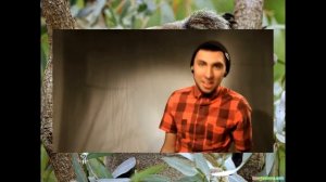 +100500   Кандибобер