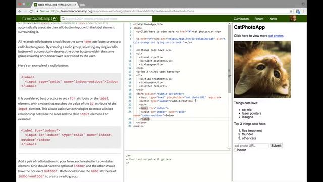 (freeCodeCamp) A.1.22 Create a Set of Radio Buttons смотреть онлайн