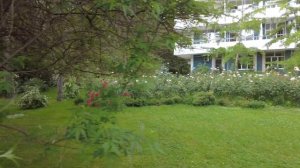 Санаторий Фрунзе. Сочи. Чёрное море ?... Июнь...