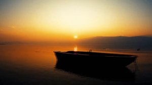 ЖИВАЯ ПРИРОДА ОТ СТРЕССА