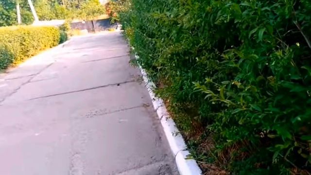 Хорошие манеры у Веры и Леры #длядетей #развивающиевидеодлядетей