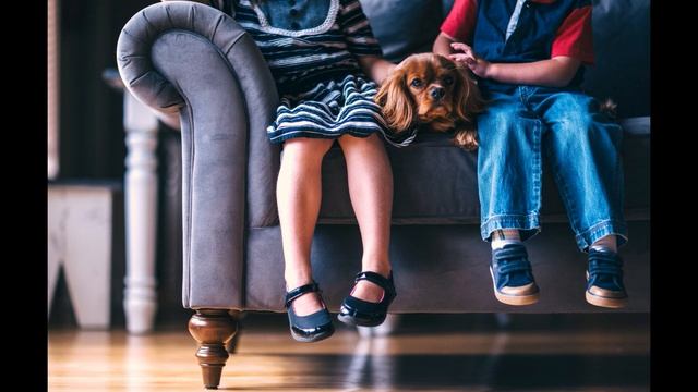 Топ 10 суеверий: откуда они взялись и что нужно делать, чтобы привлечь удачу. Народная мудрость. смотреть онлайн