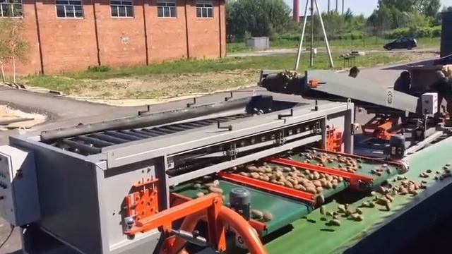 Картофельная сортировка -  Радиальный калибровщик РК-3 производства КЛИНМАШ