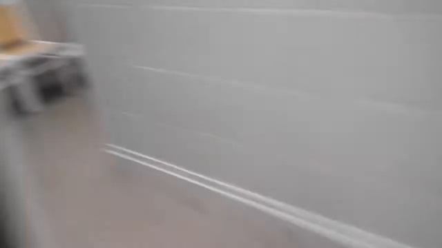 Помощь животным в Новосибирске.19.06.2017г. ул. Мира д. 59, смотреть онлайн