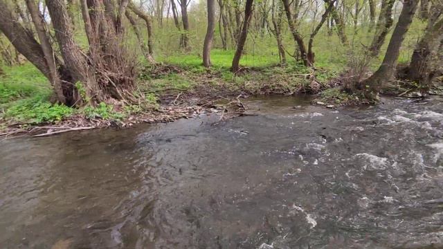 ручей без имени,степи Донбасса,Каменка смотреть онлайн