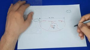 Боевой порядок мсо.  Офицерская линейка.  Линейка офицерская. Тактика.  мотострелок.