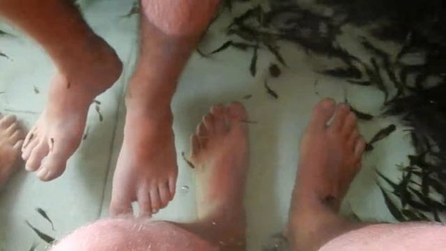 Таиланд. Пхукет. Чудо рыбки-2 :-) :-) :-) смотреть онлайн