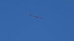 5M Pike Paradigm GPS Sport RC Sailplane