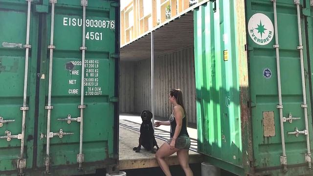 Супруги купили два Контейнера! И своими руками построили Одноэтажный Дом в Лесу на зависть Всем! смотреть онлайн