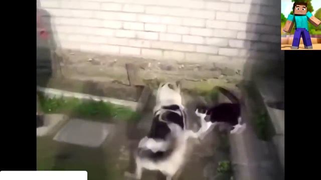 Животные Minecraft vs Реальные Животные смотреть онлайн