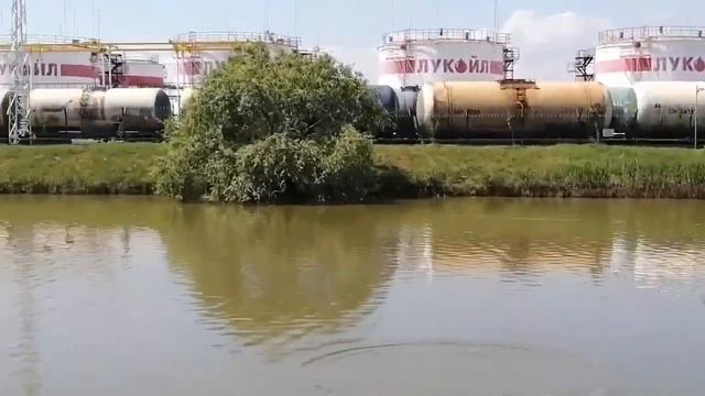 Борис хрен попадешь! В Чайку