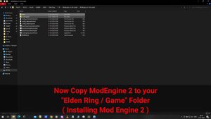 Elden Ring Seamless Coop with Mods for Non-Steam Version Tutorial