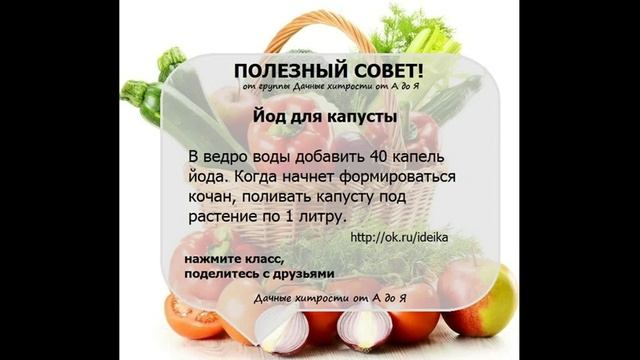 Полезные советы Дачникам и садоводам Дачные хитрости от А до Я 11 смотреть онлайн