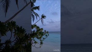 Улетаем на Мальдивы / Maldives vlog/ Мальдивы/ Angaga island resort and spa 4