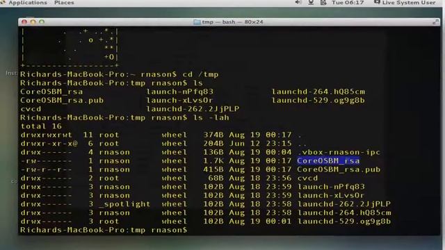 Installing CoreOS on a bare metal or virtual machine
